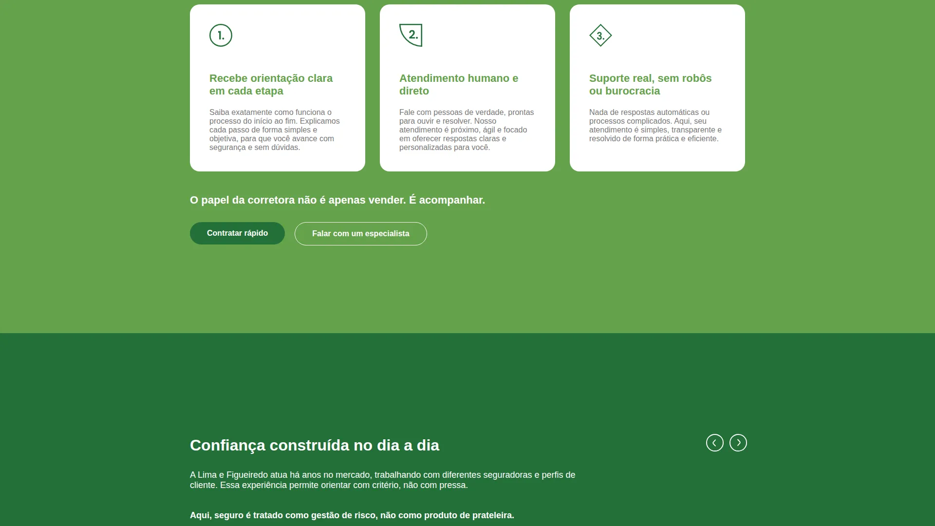 Tela do site da Lima & Figueiredo