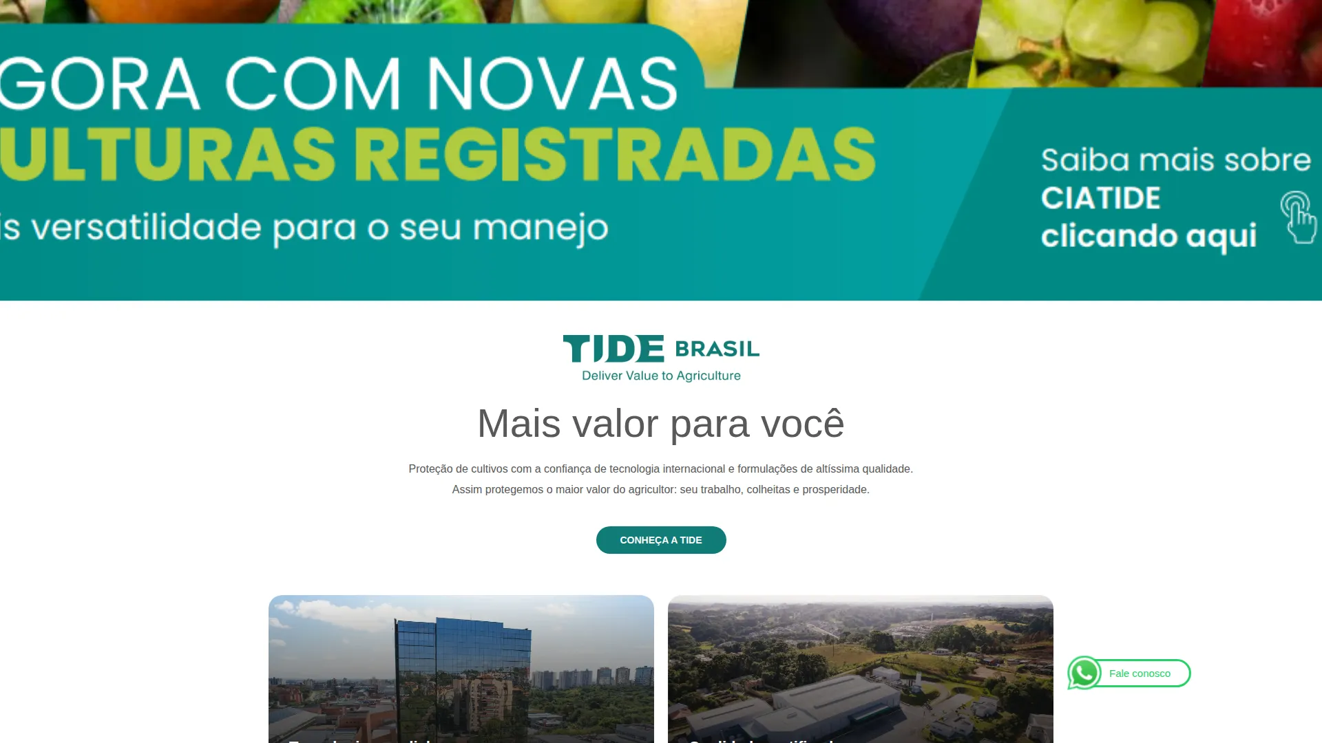 Tela do site da Tide Brasil