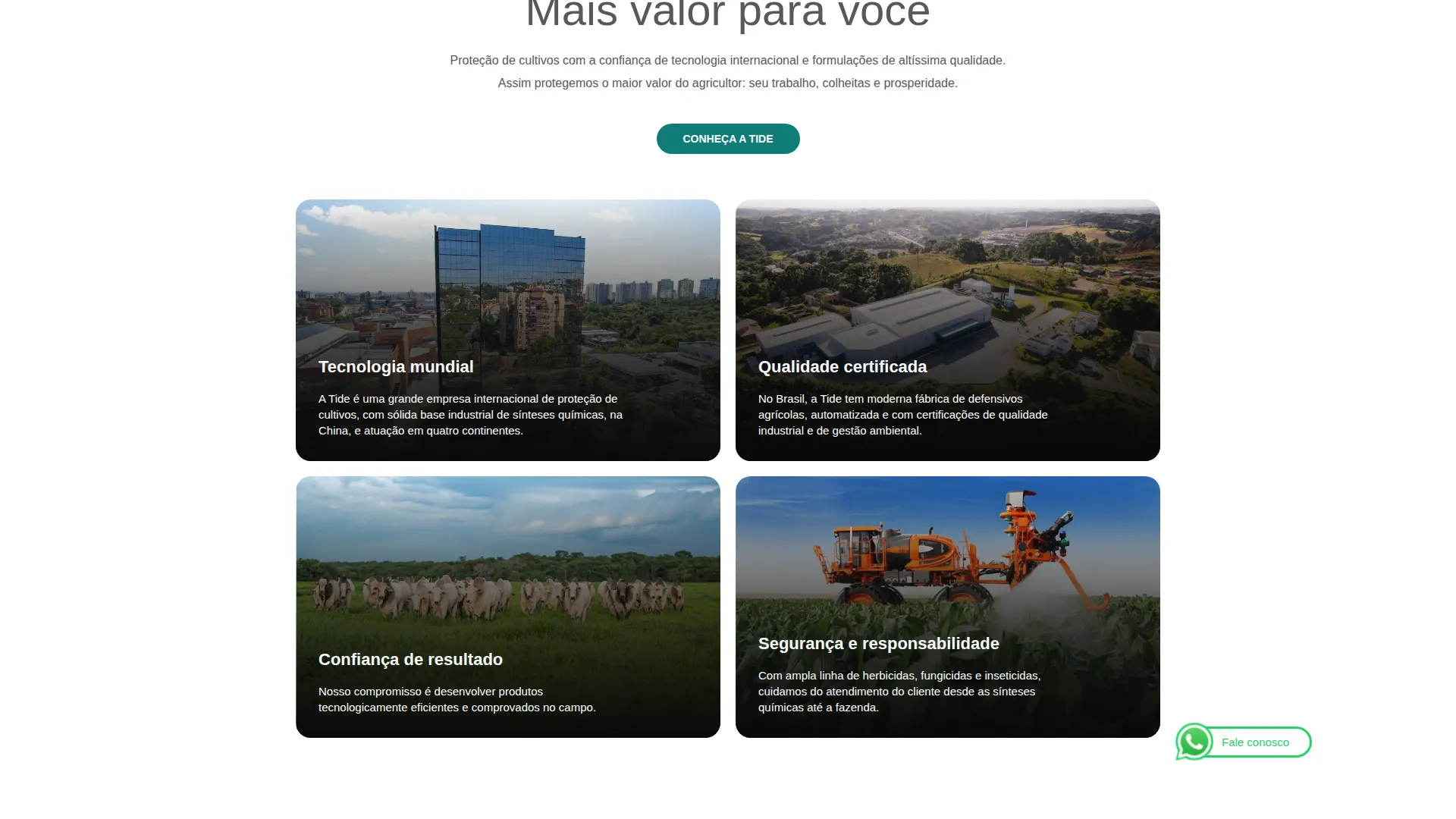 Tela do site da Tide Brasil: Mais valor para você